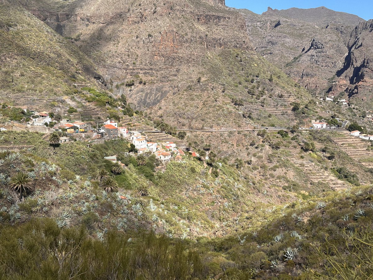 Mark Williams-Thomas tweet media