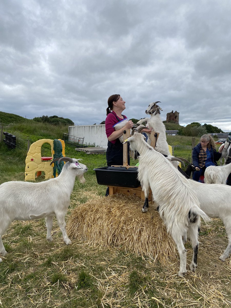 TheMaryBe's tweet photo. Fantastic experience don’t miss it !!informative fun inclusive.  Respect for sustainability and care of environment and mankind x❤️🐝thanks team Jillian https://t.co/fWUZrFFGnS