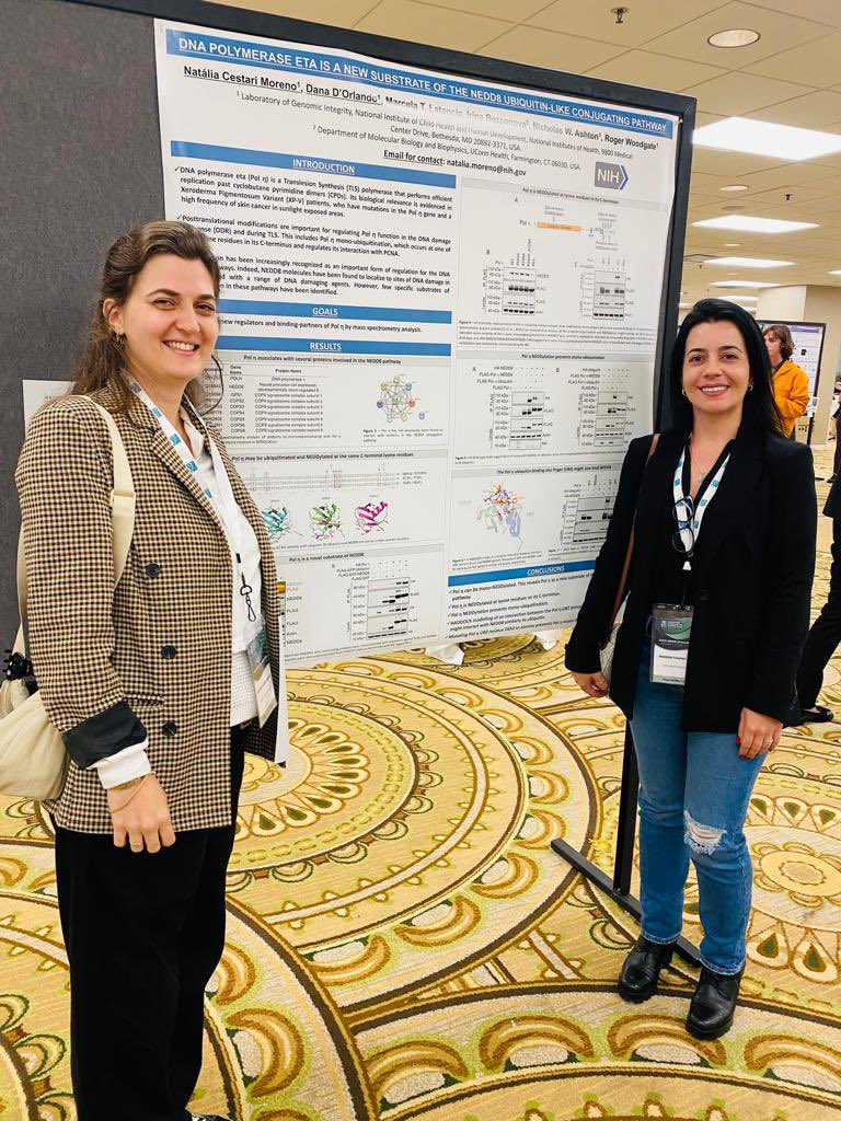 Natália Cestari Moreno tweet media