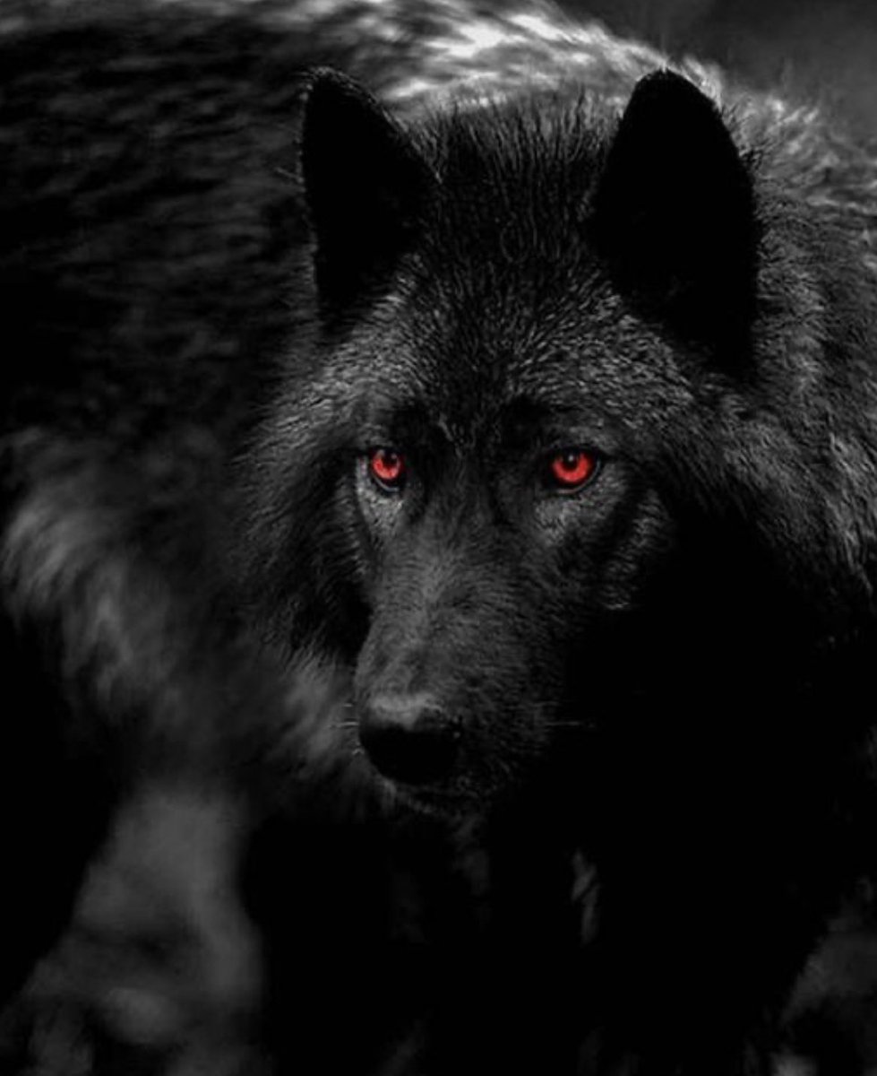 ⠀       ᴢᴇᴅ ᴢᴀᴅᴇ 
¥ ᴀʟᴘʜᴀ sʜᴀᴅᴏᴡᴍᴏᴏɴ ᴘᴀᴄᴋ
¥ ᴍᴏᴏɴ ᴅʀɪᴠᴇɴ
¥ ʀᴏᴏᴛᴇᴅ ɪɴ ʀᴇʙᴇʟʟɪᴏɴ
¥ ᴅᴀʀᴋ ᴅᴏᴍɪɴɪᴏɴs
¥ #sᴜʀʀᴇᴀʟɪɴᴋ