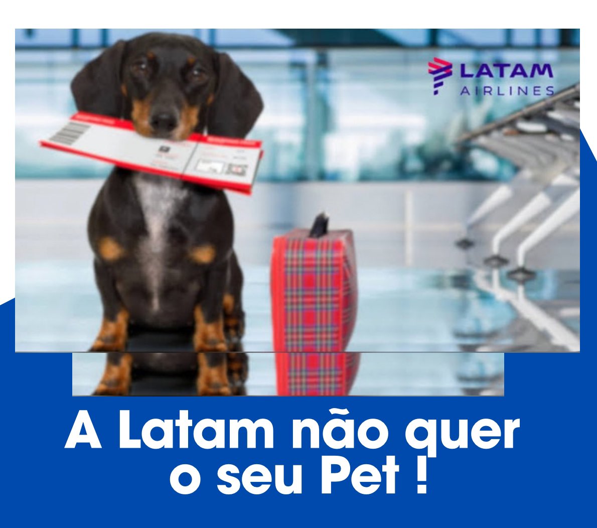 rbertholdo's tweet photo. 🐕‍🦺⛔️
LATAM NA CONTRAMÃO 
ELA É CONTRA CÃES DE APOIO
PARA O USUÁRIO TUDO PIORA

A LATAM entrou com uma ação no STF pedindo autorização para que 
a companhia não seja obrigada a aceitar cães de apoio na cabine de suas aeronaves.

INDO NA contramão do restante do mundo que a cada dia vem aceitando este tipo de acompanhamento, a LATAM mostra que está mais preocupada com os seus interesses do que com o bem estar de seus clientes.

CÃES DE APOIO emocional são largamente usados por pessoas que possuem a necessidades emocionais especiais e são muito bem treinados para atender as demandas de seus tutores.

BONS TEMPOS eram aqueles em que a LATAM era TAM e estava sob o comando do Comandante Rolim.
@LATAM_BRA @STF_oficial @oficial_Anac @infraero @mporoficial