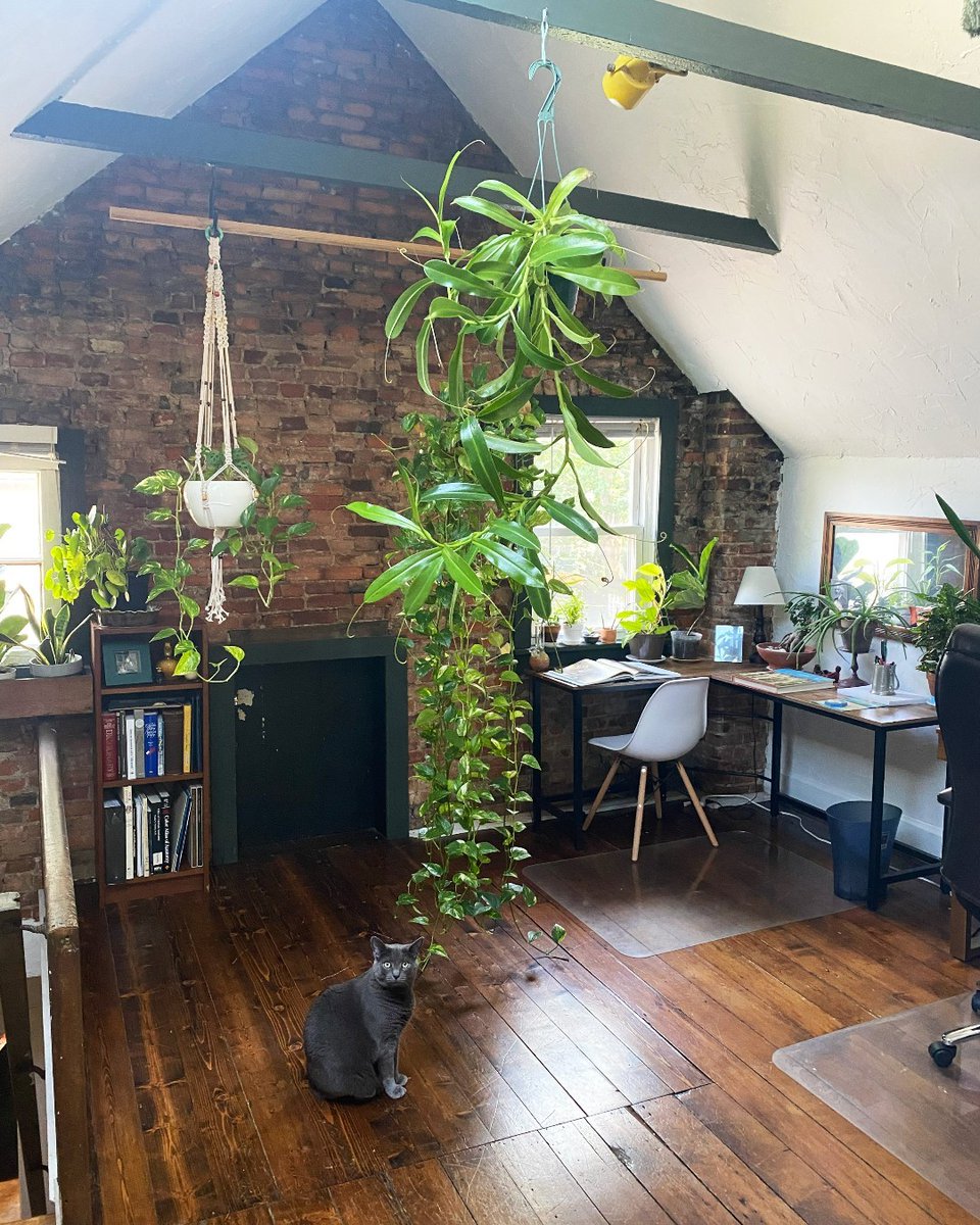 Bring the outdoors in. Are you a proud plant parent?
Share your greenery-filled spaces!

📸 1: laurenashleyelder + lesliebrownphotography (photo)
🎨: Billiard Green SW 0016 (ceiling) + Jazz Age Coral SW 0058 (doors)
📸 2: alchemist.salon
🎨: Gale Force SW 7605
📸 3: