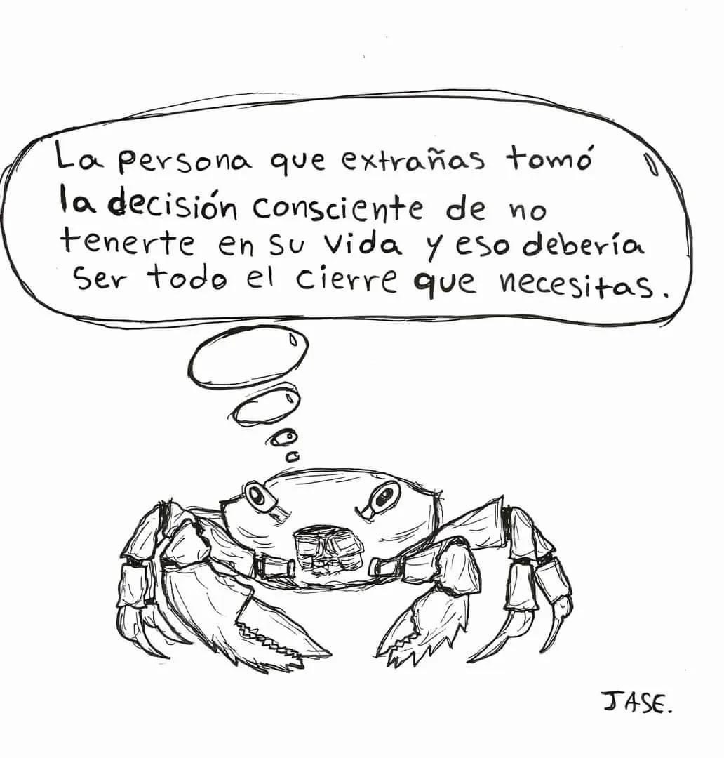 Su Alteza Celestísima tweet media