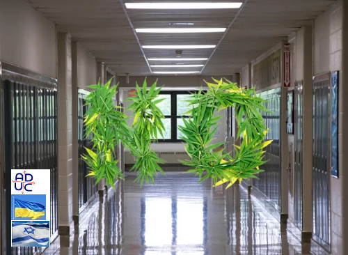 ADUC1's tweet photo. La #cannabis legale fa calare il consumo tra gli adolescenti in Usa
https://t.co/op0mFBzCIv https://t.co/k79Hjgt2N2