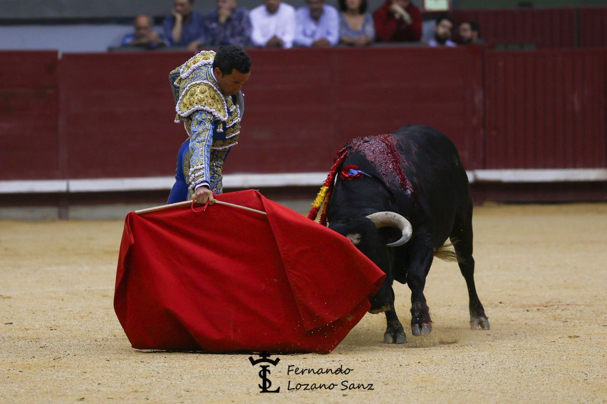 Afitauro (@afitauro) on Twitter photo <a href="/Elcampobravo1/">El_campo_bravo</a> <a href="/feriadeburgos/">Coliseum Burgos</a> <a href="/tauroemocion/">Tauroemoción</a> 🏟 Burgos | Directo
3️⃣ sin opciones para <a href="/DavDeMiranda/">David de Miranda</a>
📷 <a href="/Elcampobravo1/">El_campo_bravo</a>
<a href="/feriadeburgos/">Coliseum Burgos</a>
<a href="/tauroemocion/">Tauroemoción</a> <a href="/Elcampobravo1/">El_campo_bravo</a> <a href="/feriadeburgos/">Coliseum Burgos</a> <a href="/tauroemocion/">Tauroemoción</a> 🏟 Burgos | Directo
3️⃣ sin opciones para <a href="/DavDeMiranda/">David de Miranda</a>
📷 <a href="/Elcampobravo1/">El_campo_bravo</a>
<a href="/feriadeburgos/">Coliseum Burgos</a>
<a href="/tauroemocion/">Tauroemoción</a>