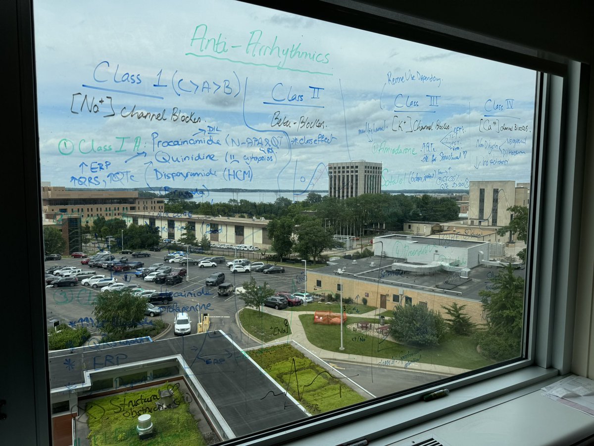 Abdulaziz Asbeutah (@azooz_asbeutah) on Twitter photo Ending the first year of Cardiology Fellowship with a window talk on anti-arrhythmics for our residents with an unmatched lake view from the VA workroom ๐ <a href="/uw_cvm/">UW-Madison Division of Cardiovascular Medicine</a> <a href="/uwsmph/">UW School of Medicine and Public Health</a> Ending the first year of Cardiology Fellowship with a window talk on anti-arrhythmics for our residents with an unmatched lake view from the VA workroom ๐ <a href="/uw_cvm/">UW-Madison Division of Cardiovascular Medicine</a> <a href="/uwsmph/">UW School of Medicine and Public Health</a>