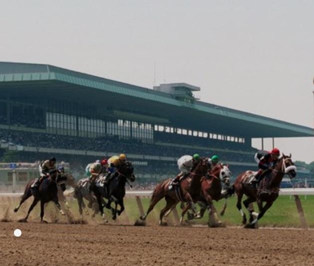 lotohipico's tweet photo. #BELMONTPARK #HIPISMO #AMERICANAS #NYRA #SUNDAY #DOMINGO #JUNIO30
@Derbynoqueador (+58 4248131900.)🥊
CUARTA CARRERA: 1-3. "Candado". 🏇 https://t.co/hgVNwXZCa6