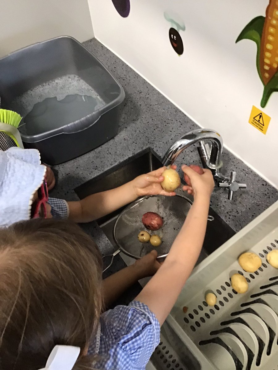 bumblebees_MRPA's tweet image. Wow! Our first harvest. We’ll be making potato salad for snack tomorrow!  Thank you @gyopotatoes The children (and I!) have been amazed.