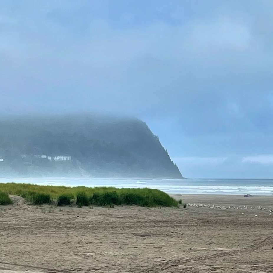 Chris Golden tweet media