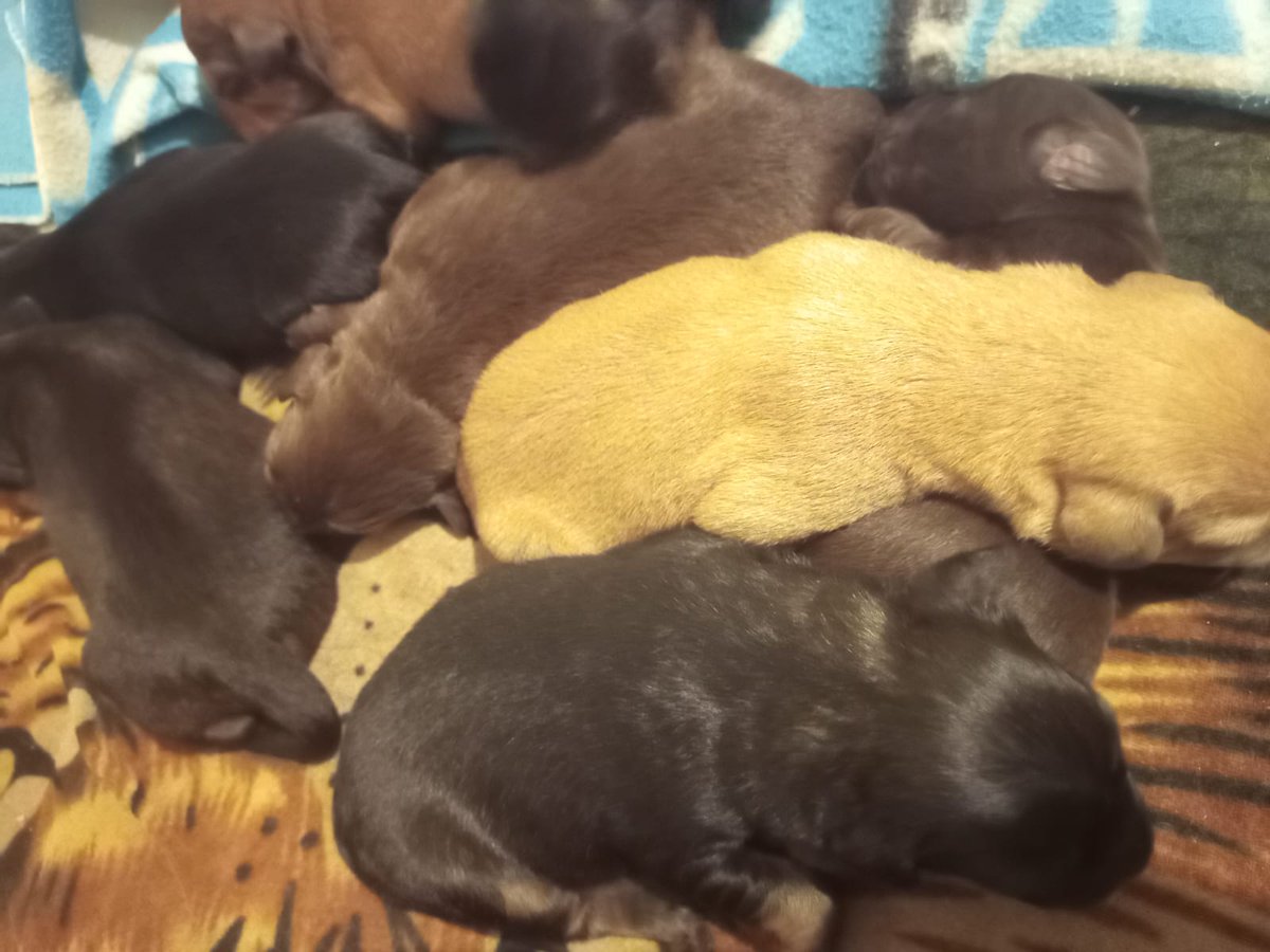 💞Ale Zapata💞 tweet media