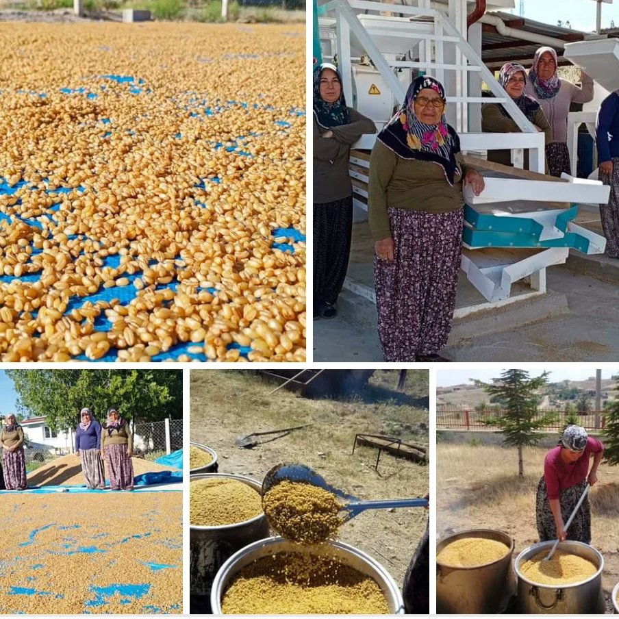 AfsarBala's tweet photo. Vira Bismillah dedik... 
Bulgur sezonunu açtık. Kunduru, tosun bey ve bayraktar bulguru satışlarımız başlamıştır... https://t.co/IbpZUbroRc
