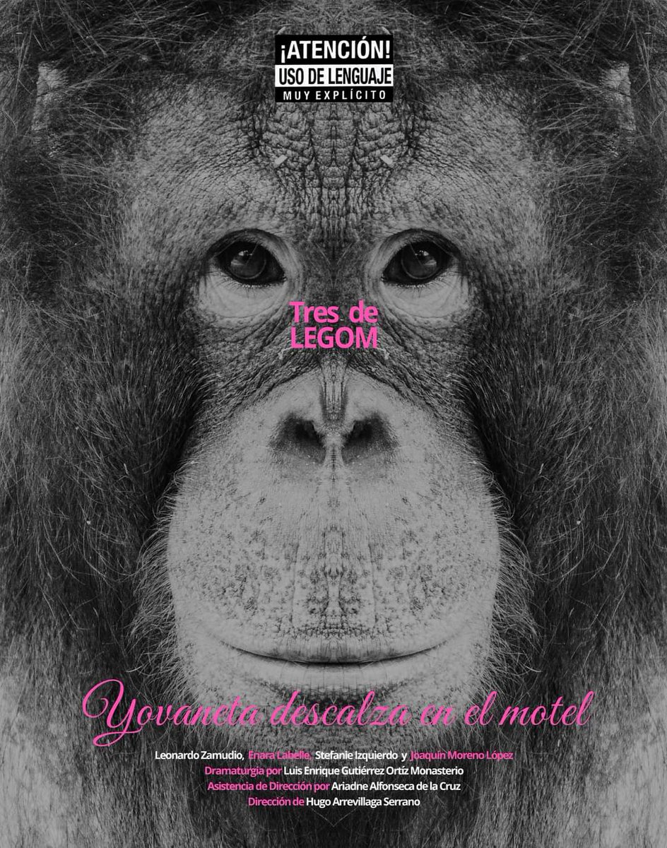 ciateatrouv's tweet photo. 🦍𝗧𝗿𝗲𝘀 𝗱𝗲 𝗟𝗘𝗚𝗢𝗠 espectáculo que reúne tres obras de teatro de uno de los dramaturgos contemporáneos más sobresalientes de México.

¡HOY ÚLTIMA FUNCIÓN!
🗓 Junio 30 | 18:00 h
📌 Teatro La Caja UV 
🎟 General $120, Estudiantes e INAPAM $100
.
.
.
#Teatro #Legom #Xalapa https://t.co/ZdubbOqM7X