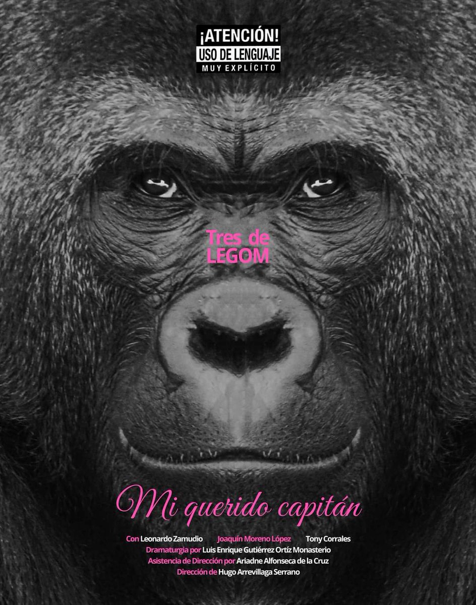 ciateatrouv's tweet photo. 🦍𝗧𝗿𝗲𝘀 𝗱𝗲 𝗟𝗘𝗚𝗢𝗠 espectáculo que reúne tres obras de teatro de uno de los dramaturgos contemporáneos más sobresalientes de México.

¡HOY ÚLTIMA FUNCIÓN!
🗓 Junio 30 | 18:00 h
📌 Teatro La Caja UV 
🎟 General $120, Estudiantes e INAPAM $100
.
.
.
#Teatro #Legom #Xalapa https://t.co/ZdubbOqM7X