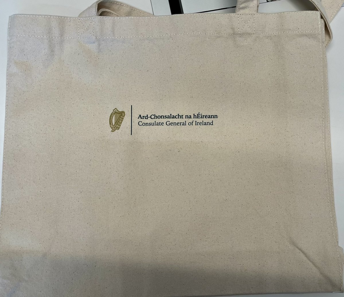 It looks like <a href="/taylorswift13/">Taylor Swift</a> has been having a brilliant time in #Ireland ! We’ve been loving her #Irish era from afar! (Thanks to <a href="/azirishcenter/">AZ Irish</a> for the great idea!) #DublinIrelandTSTheErasTour