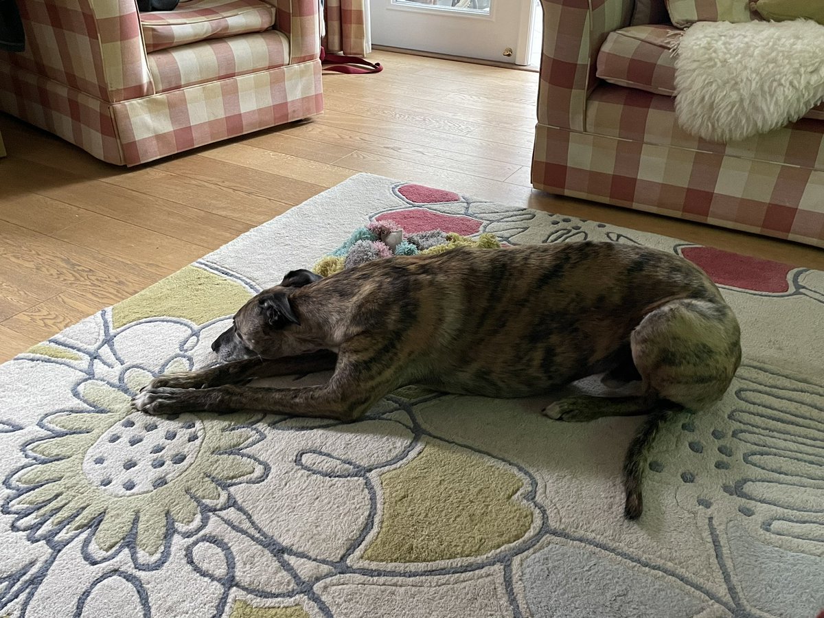 When your sausages are ready then there’s a (very unexpected!) goal on the football!