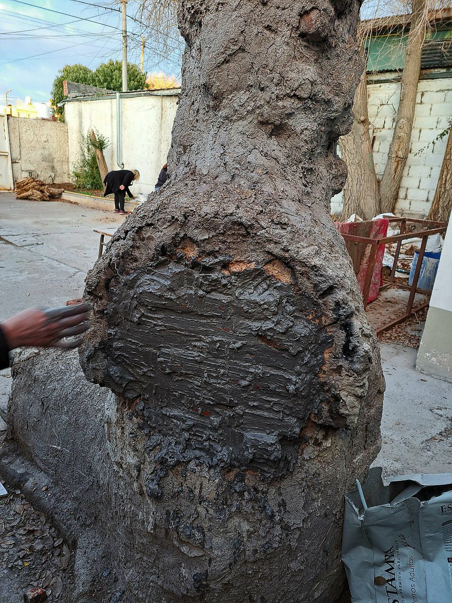 GreciaDR's tweet photo. Registro fotográfico. Nuestra primer quema! 

#Ceramica 
#Quema https://t.co/6QyKDVQm9x
