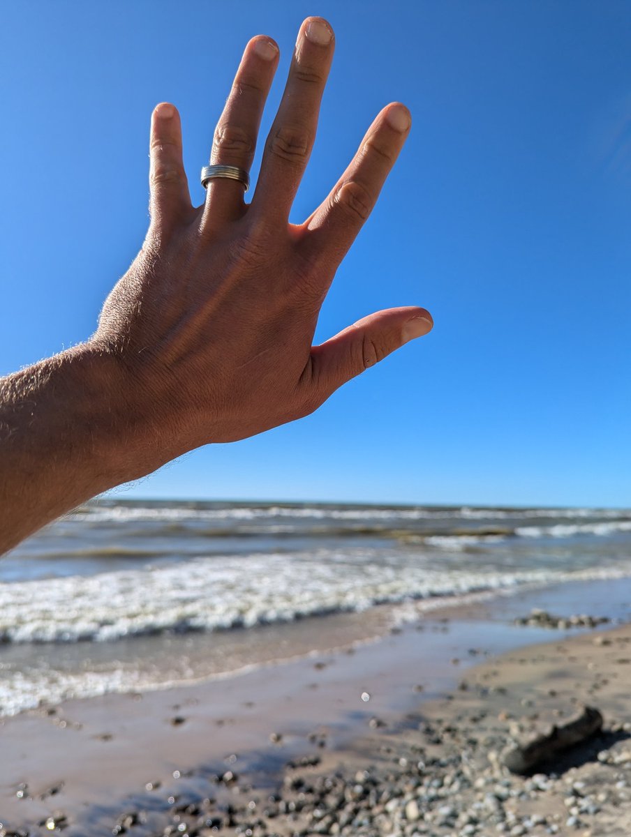 donnie piercey ⚾ tweet media