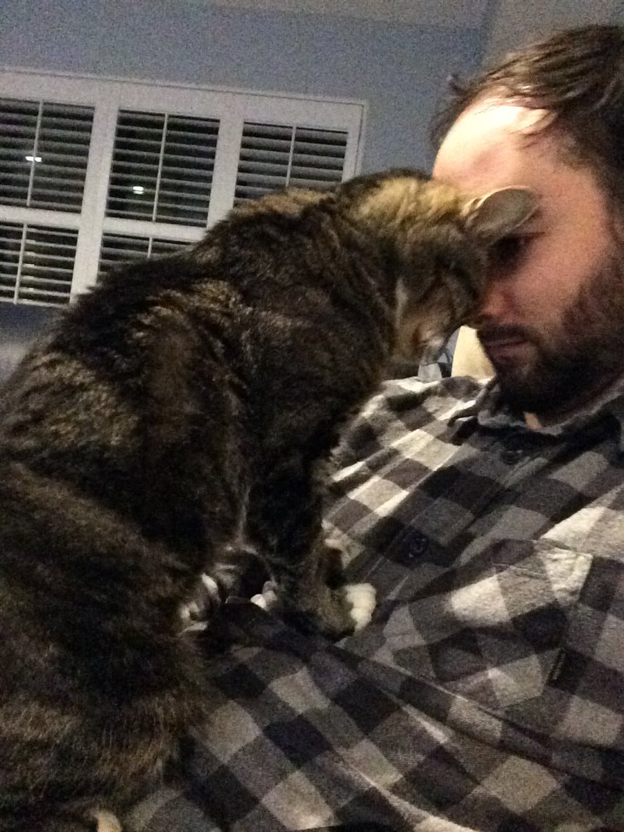 Pretty__G's tweet image. Long shot but would kill me if I didn’t try.
Missing since June 23
Answers to Max
Super affectionate if slow approach Microchipped (no collar)
Lansdowne area
Anybody around there please check your garages in case he might be trapped. He was gone 16 days in 2018. #yeg #lostpets
