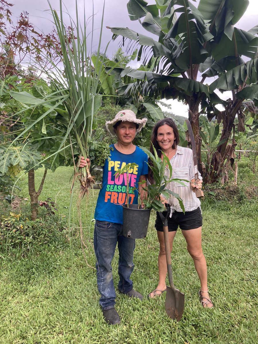 stephaniesyson's tweet image. We are on the famous Growing Your Greens you tube channel!

youtu.be/1NqEbsPlMz0?fe…