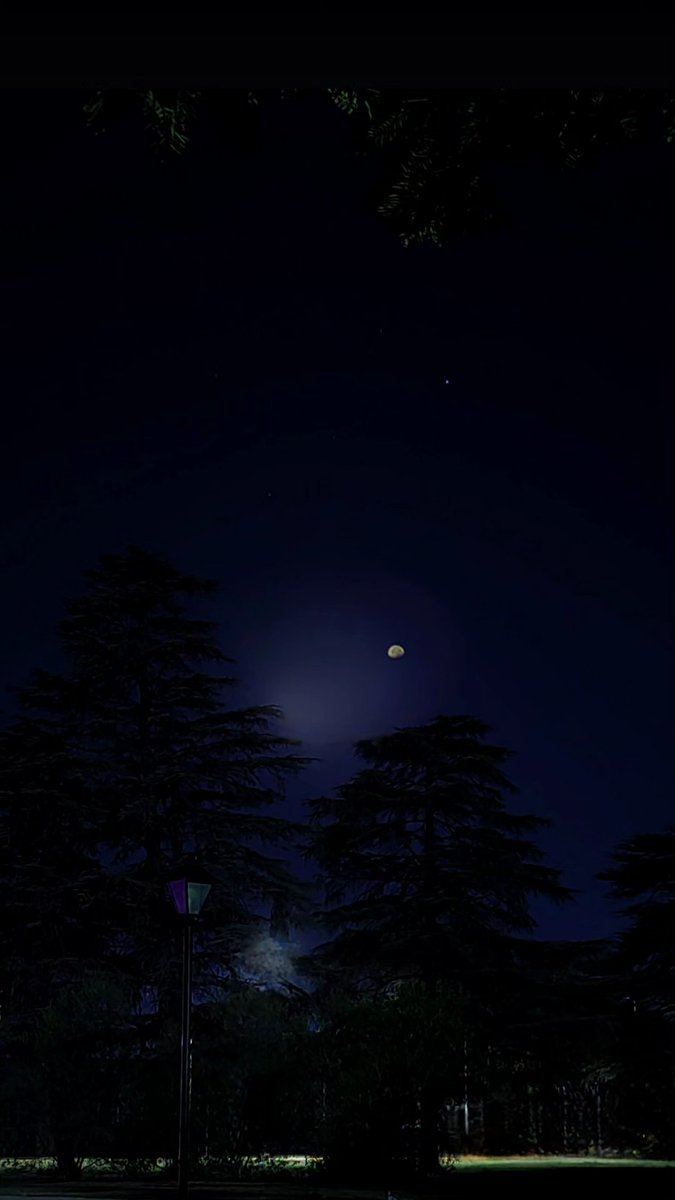 LuchoLujann's tweet image. #Prometer algo sin la #intención de cumplirlo es un acto de falso #compromiso que #destruye la #confianza y daña las relaciones.