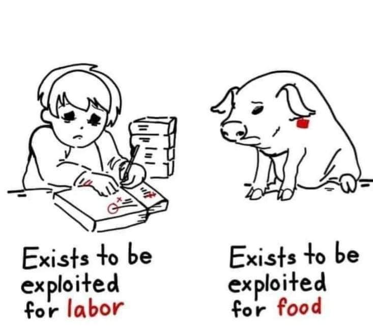 nefelibata_MEV's tweet image. How can #vegans #reproduce while fighting for the fact; #animals are not meant to be #used, #suffer, #struggle, abused and killed while bringing a new #life for the same?

#Hypocrisy
#antinatalism 
#dystopia
#dontreproduce