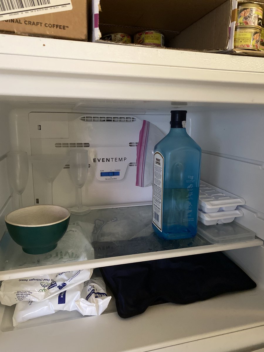 Zoe Borovsky tweet media