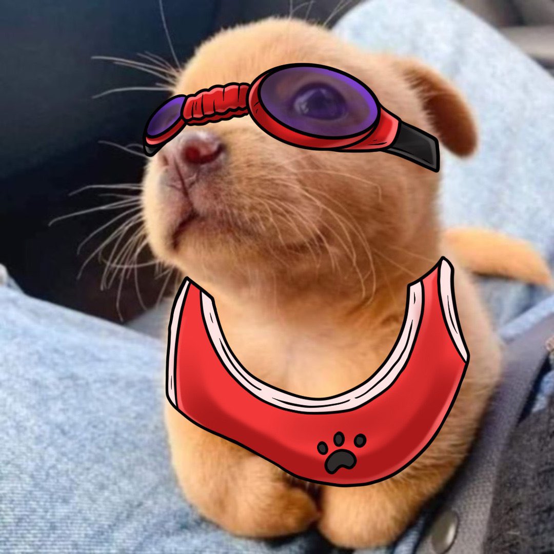 @CsgotapNet <a href="/Regrets10x/">rr</a> <a href="/crazyclipsonly/">Crazy Clips</a> <a href="/Cobratate/">Andrew Tate</a> $Dilly our bullish pup will continue to grow under our based community 🤙📈📈💎💎💎