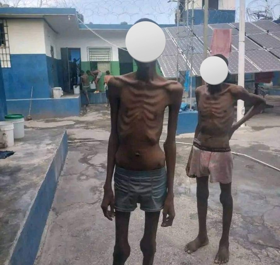 tv_elshaddai's tweet photo. @ConilleGarry PM Garry Conille mw salye efò'w ke'w montre Pou'w chanje figi Peyi sa ke PHTK, SDP AK lòt pati politik ki mete Tet yo ansan'm pou kraze Peyi sa men PM li poko tròp Ta pou'n rebay Yon lòt figi AK zile sa gade Eta Moun ki nan prizon eske li posib pou premye pèp Nwa lib AP Viv konsa https://t.co/yrxCiF5Ewv