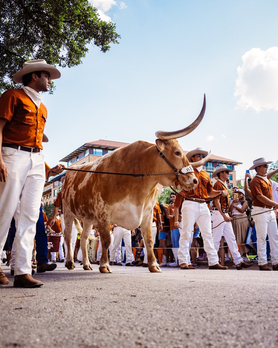 TexasFootball's tweet photo. Ain’t no party like a Texas party 🤘 https://t.co/6z4LliERCR