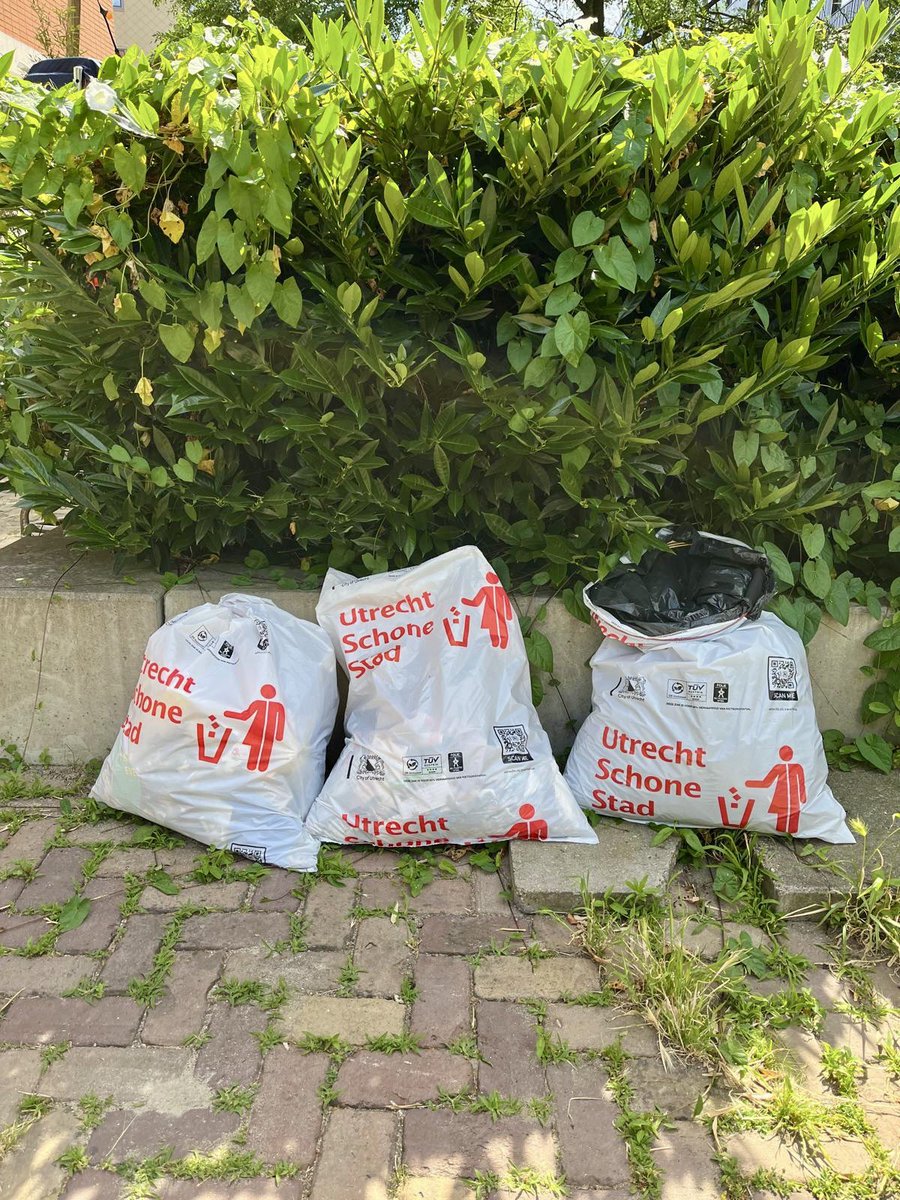 Met verschillende buurtgenoten dit weekend stukjes Rotsoord, Tolsteeg &amp; Hoograven schoongemaakt tijdens de Utrechtse Plandeldagen! Honderden peuken geraapt, zeven zakken vol verzameld en duizenden stappen gezet, hoe mooi is dat <a href="/antondamen/">Anton ‘Plandelman’ Damen</a>! Samen zijn we één schoon park! 💪