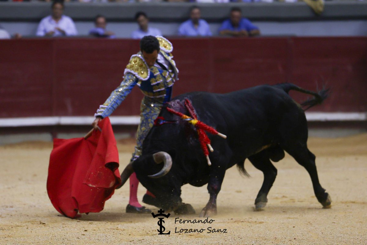 Afitauro (@afitauro) on Twitter photo <a href="/Elcampobravo1/">El_campo_bravo</a> <a href="/feriadeburgos/">Coliseum Burgos</a> <a href="/tauroemocion/">Tauroemoción</a> <a href="/DavDeMiranda/">David de Miranda</a> <a href="/CurroDiazOf/">Curro Díaz</a> 🏟 Burgos | Directo
6️⃣ Oreja para <a href="/DavDeMiranda/">David de Miranda</a>
📷 <a href="/Elcampobravo1/">El_campo_bravo</a>
<a href="/feriadeburgos/">Coliseum Burgos</a>
<a href="/tauroemocion/">Tauroemoción</a> <a href="/Elcampobravo1/">El_campo_bravo</a> <a href="/feriadeburgos/">Coliseum Burgos</a> <a href="/tauroemocion/">Tauroemoción</a> <a href="/DavDeMiranda/">David de Miranda</a> <a href="/CurroDiazOf/">Curro Díaz</a> 🏟 Burgos | Directo
6️⃣ Oreja para <a href="/DavDeMiranda/">David de Miranda</a>
📷 <a href="/Elcampobravo1/">El_campo_bravo</a>
<a href="/feriadeburgos/">Coliseum Burgos</a>
<a href="/tauroemocion/">Tauroemoción</a>