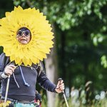 Photo by 1000milesofsunflowers🌻 (@Tim_Maycock)