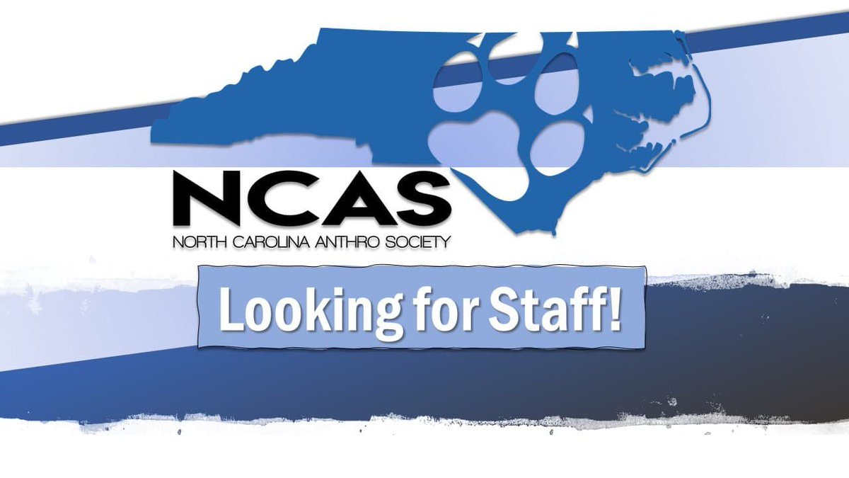 NCAS is hiring!
HR is responsible for all of our Staff! The department is in charge of hiring, maintaining, and reviewing our staff throughout the year.
See the full list of positions available and more information: docs.google.com/document/d/1iG…
How to Apply: ncanthrosociety.com/staff/applicat…