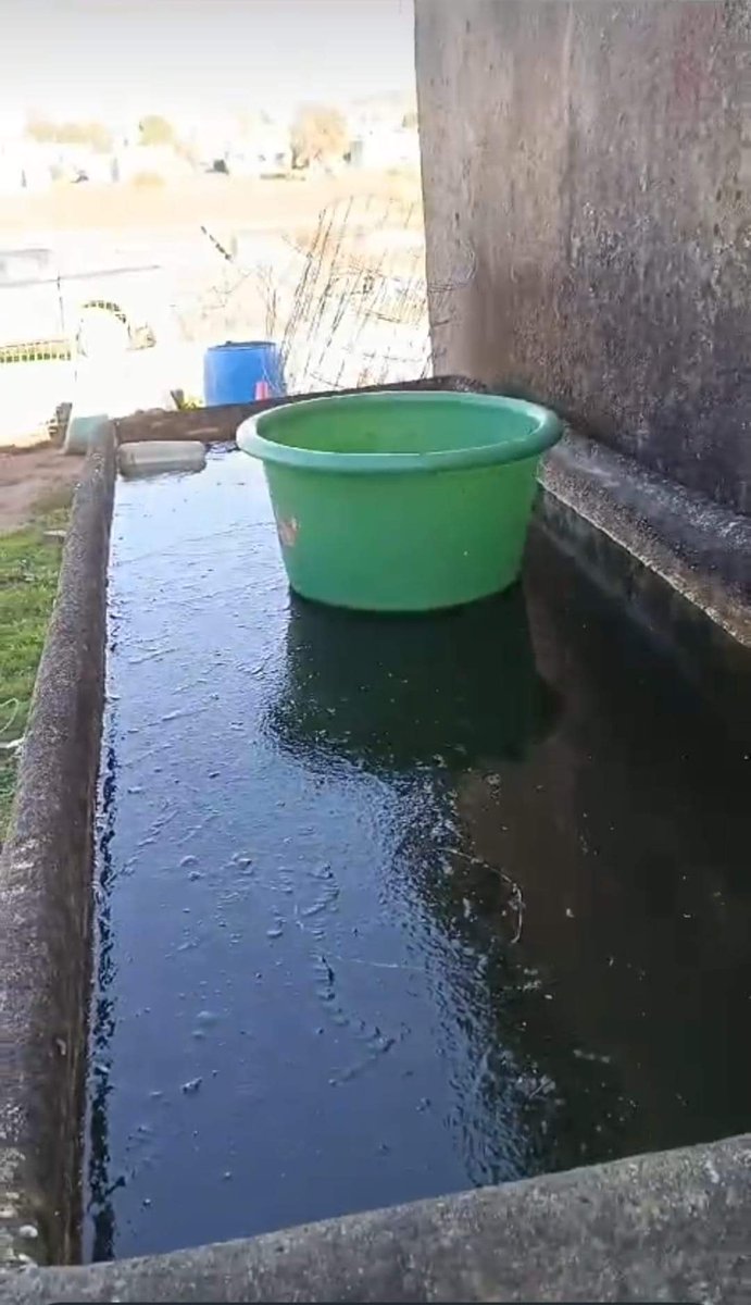 Estacion_bcp's tweet photo. #Uruguay | Agua #Congelada en Nico Batlle, ruta7 km204 (Llavalleja, Florida) Fotos Alexis Esenal https://t.co/FTlqIYWFXk