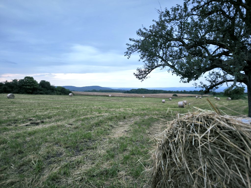 MoselleHunt's tweet photo. Moi c'est calme pour l'instant.
#ChassePartage #Affut https://t.co/kSRM1pMGU8