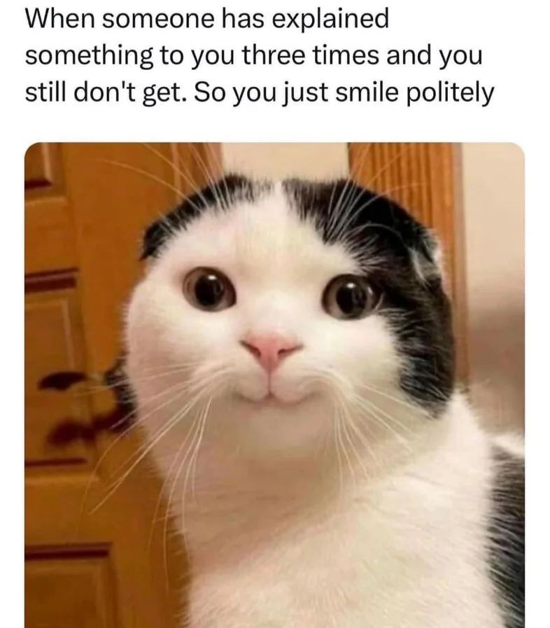 WholesomeMeme's tweet photo. https://t.co/iWBzeQP4RB