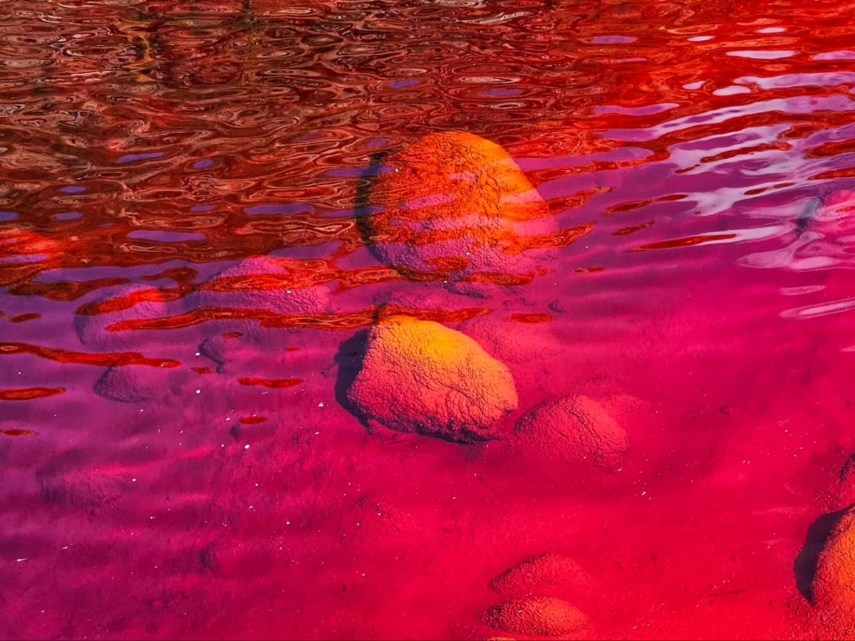 devalverdees's tweet image. Río Tinto