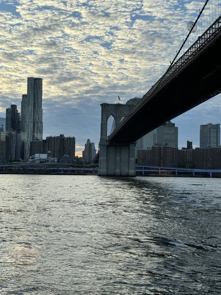 Diane Ravitch 🇺🇸🇺🇦📚🌈🗽🌹🇨🇱❤️ tweet media