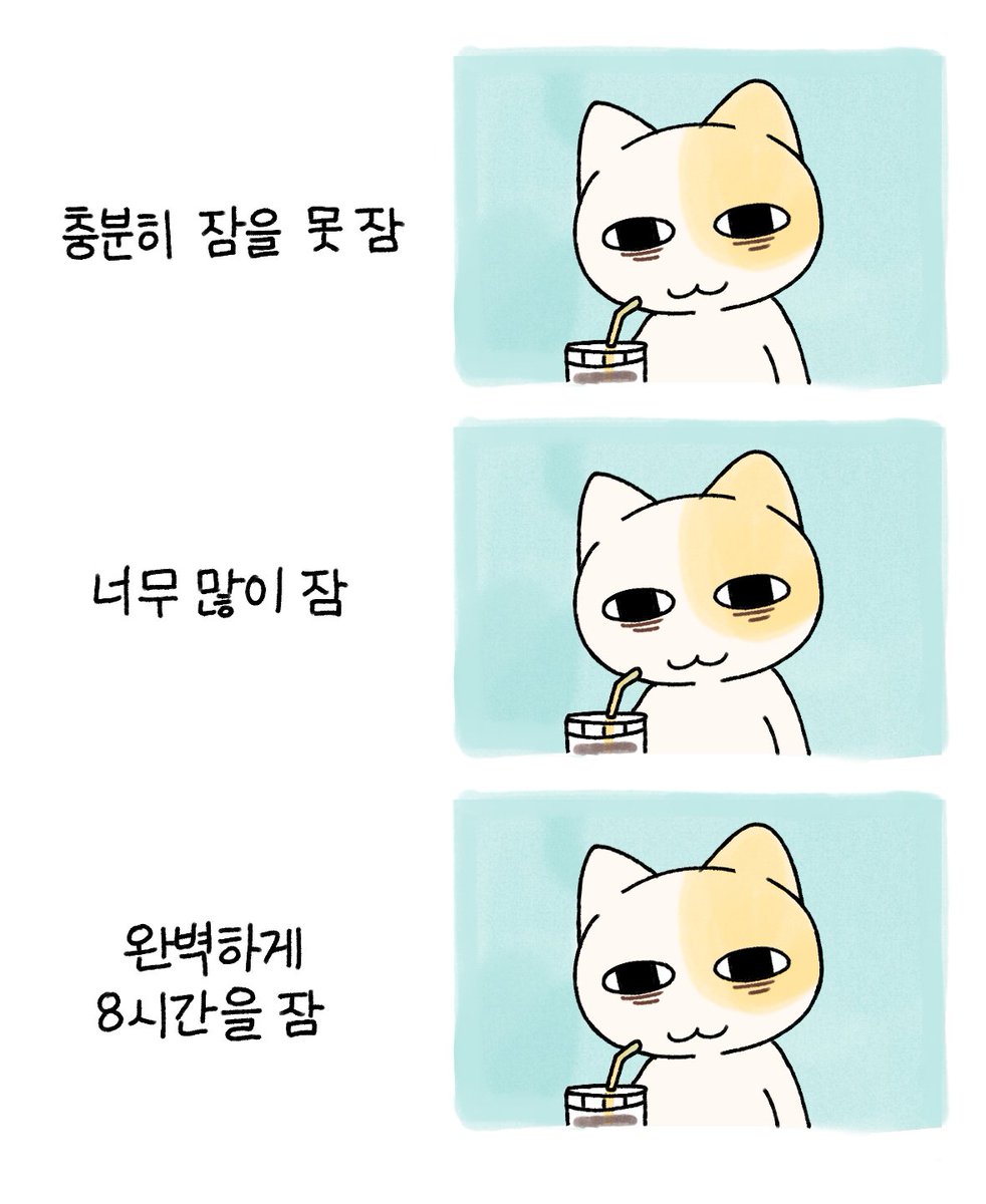 묘냥이와 멍구 (@myo_n_meong) on Twitter photo 