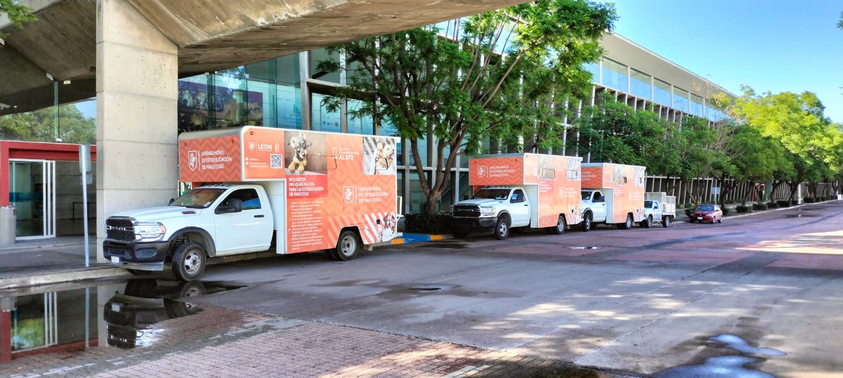 LeonSaludable's tweet photo. Continuamos en el #Michitón en Poliforum León en Expo Gatitos 
¡Aún podemos esterilizar a tus michis!
Gracias a quienes ya le dieron hogar a 8 gatitos🐱.
#LeónCuidaASusMascotas #SomosGrandes #SomosFuertes #SomosLeón https://t.co/ODcTdhnJ7x