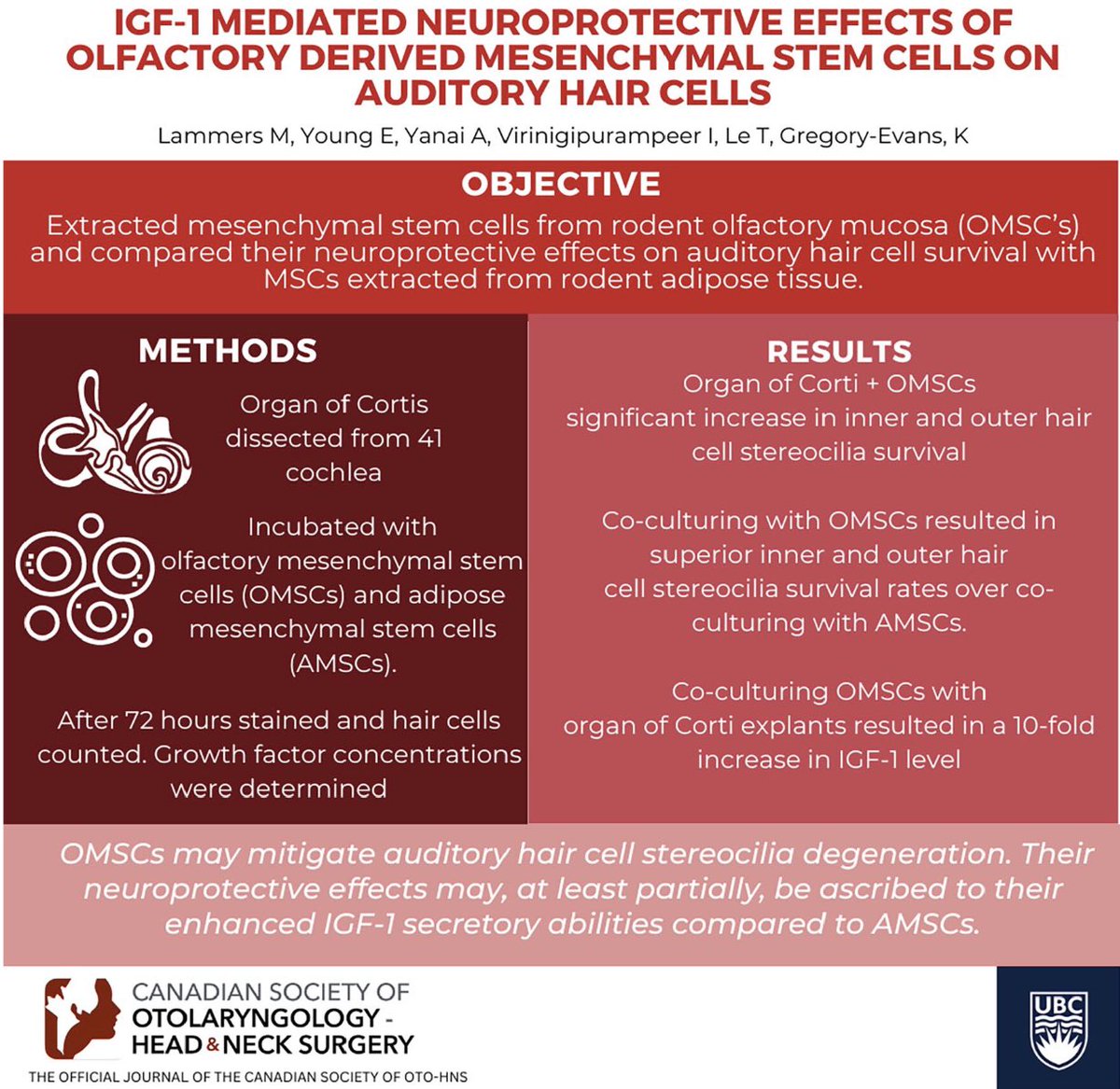 This animal study looked at the neuroprotective effects of mesenchymal stem cells from olfactory mucosa on auditory hair cell survival. Check out the full results and discussion below.