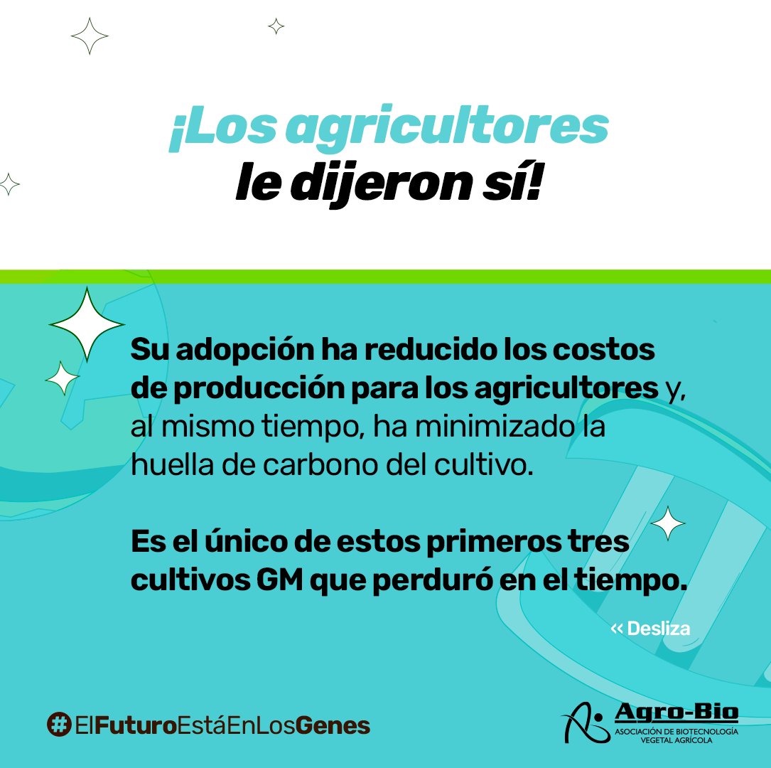 Agrobio_andina's tweet image. 🌱#ElFuturoEstáEnLosGenes La #soya tolerante a herbicidas, el tercer cultivo transgénico de la historia, ha reducido costos y facilitado el manejo de malezas desde 1996.

💯Conoce cómo sigue aportando a un futuro sostenible y descubre un dato curioso aquí: bit.ly/4eIk4l3