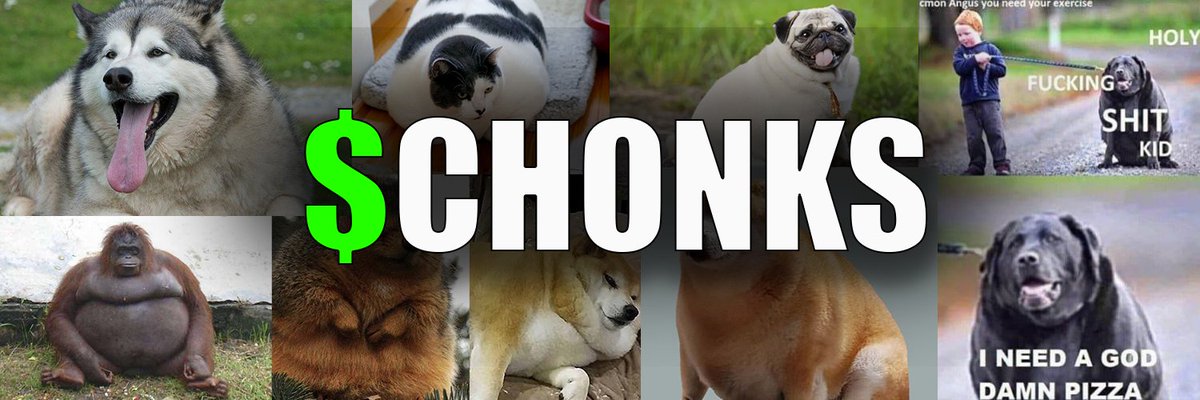 Chonks tweet media