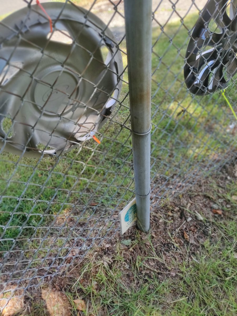 TMR - Thankful Monkey Raptor tweet media