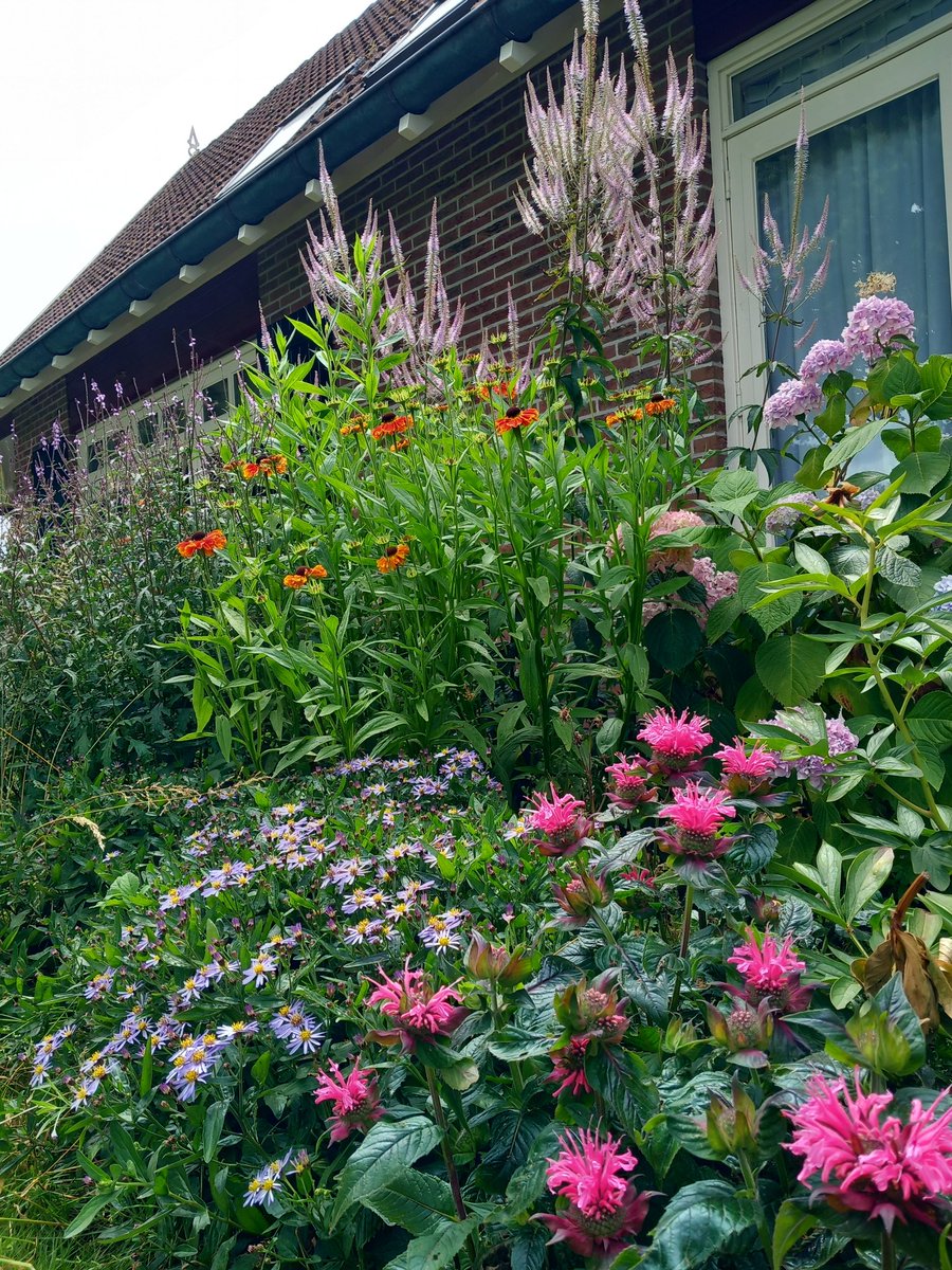 HeleenHoltmanns's tweet photo. Ik vind dit een mooi hoekje #rondjetuin https://t.co/JAF5N6Svpk