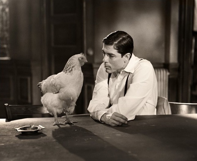 VastineB's tweet photo. Dream Man: But, hen, you said you WANTED to be in Vastine's Second book! And you ARE in the book! Why are you complaining?

Hen: Yes, I AM in the book! But I am a ROASTED hen in it!

Dream Man: What? Did you think you were going to be a main character or something?

Hen: Would that have been too much to ask?

Dream Man: Look, my dear Hen. What better honor could there be than you being MY dinner in the book?