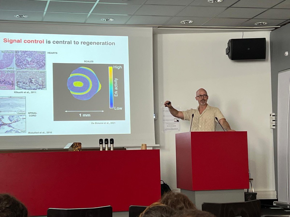 Tajbakhsh lab tweet media
