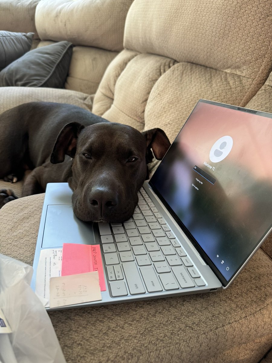 Prepping my fbm shipments before USPS rate increase takes in effect tomorrow. But someone doesn’t want me to work today 🐶