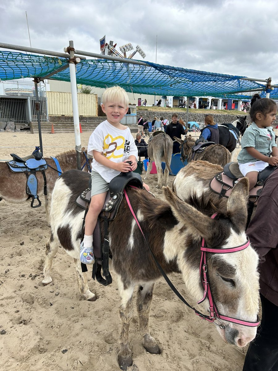 A goat riding a donkey.