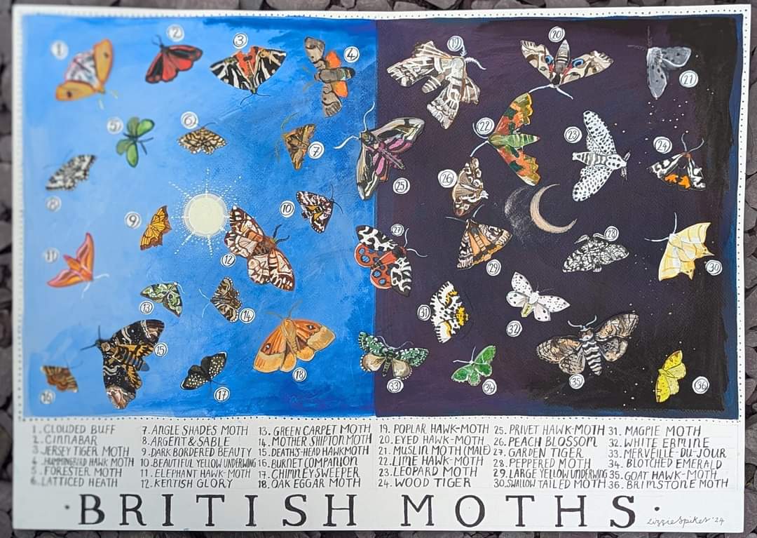 Lizzie Spikes tweet media